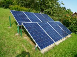 Affitto terreno per fotovoltaico